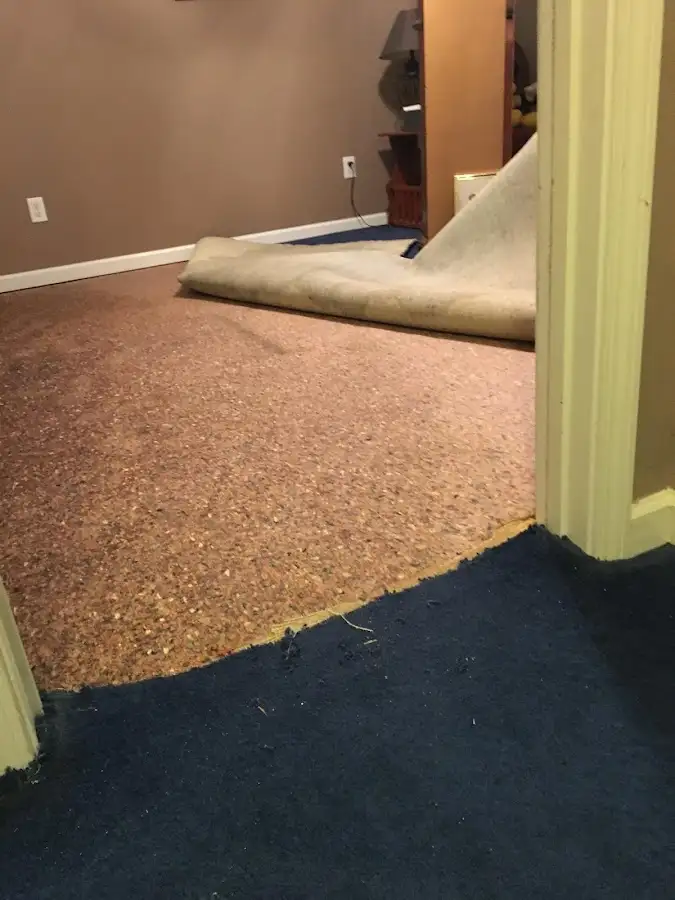 Carpet pad removal revealing water damage during Water Mitigation Services in Monroe